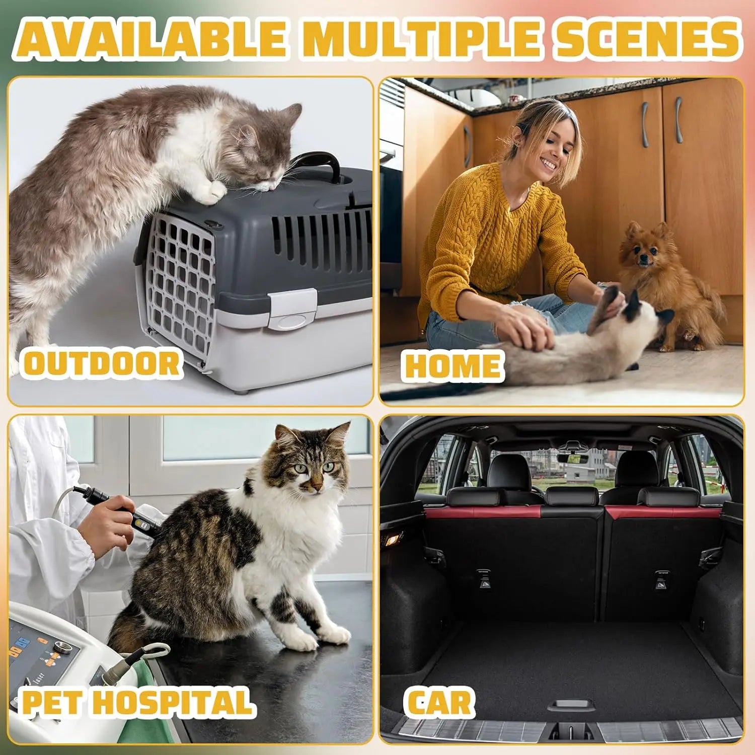 50 Pack Disposable Cat Litter Box, 19.69 x 15.75 x 3.94 Inch, Portable Clear Tray for Indoor Home Travel