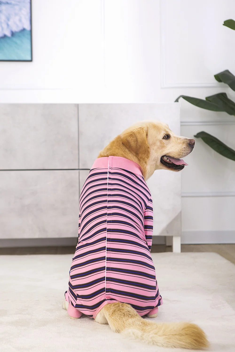 Full Cover Dog Jumpsuit Dog Recovery Suit After Surgery Anti Shedding Bodysuit Pet Claming Pajamas for Small Medium Large Dogs