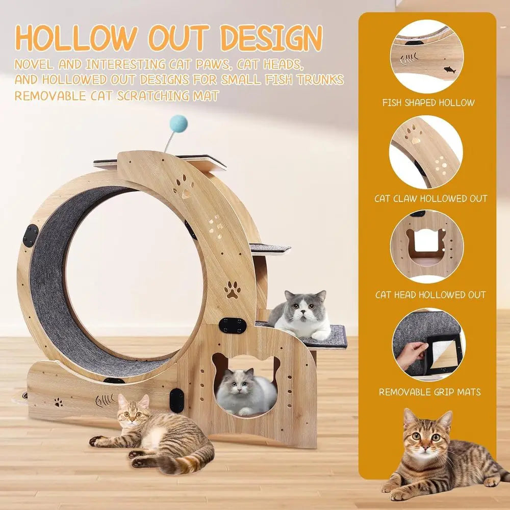 6-in-1 Cat Activity Center: 55 Exercise Wheel, Bed, Scratcher, Climbing, Toys