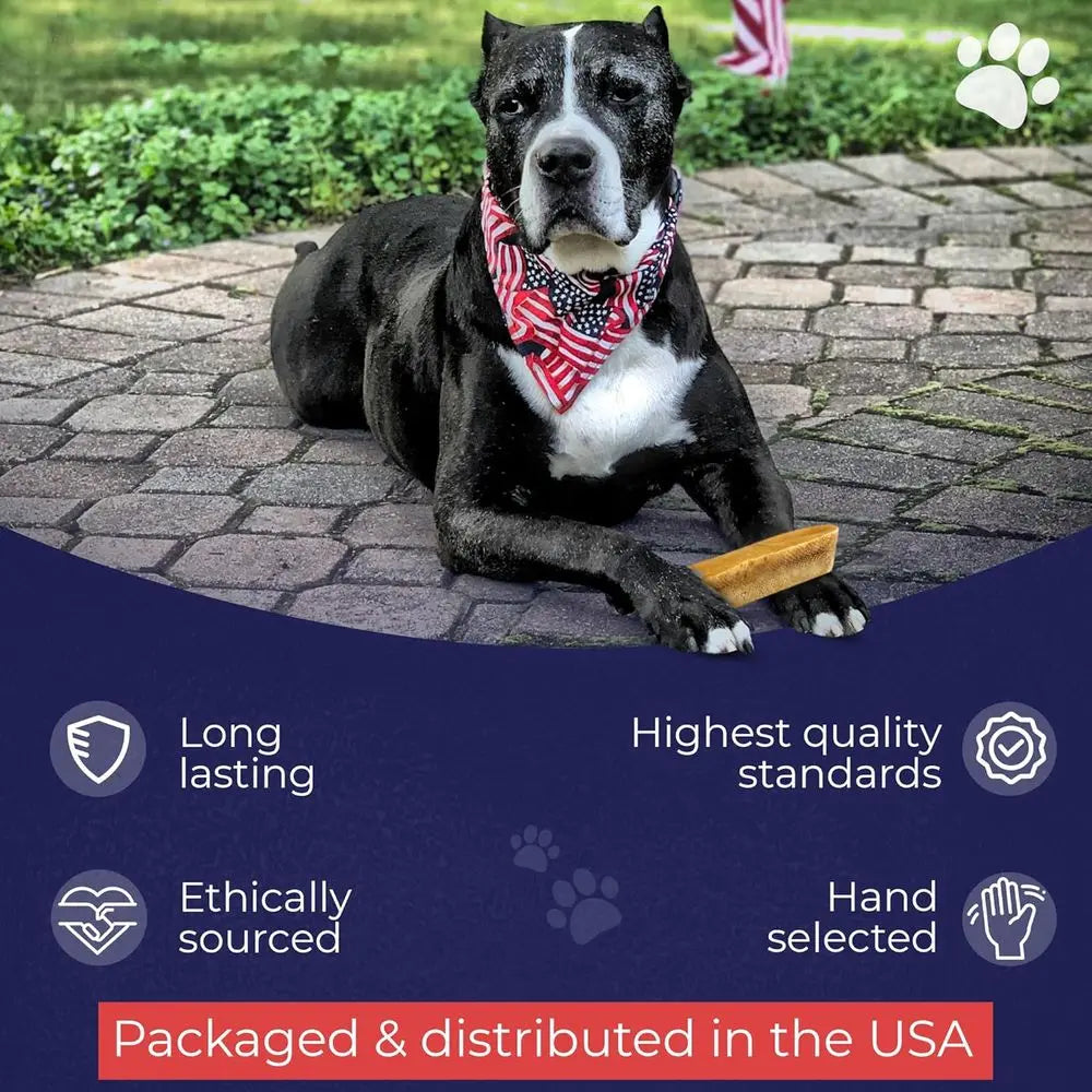 . Himalayan Yak Cheese Dog Chews, Large - 8 Pack, 100% Natural & Healthy, Lactose-Free, Long-Lasting Dog Treats, Premium Yak Mil