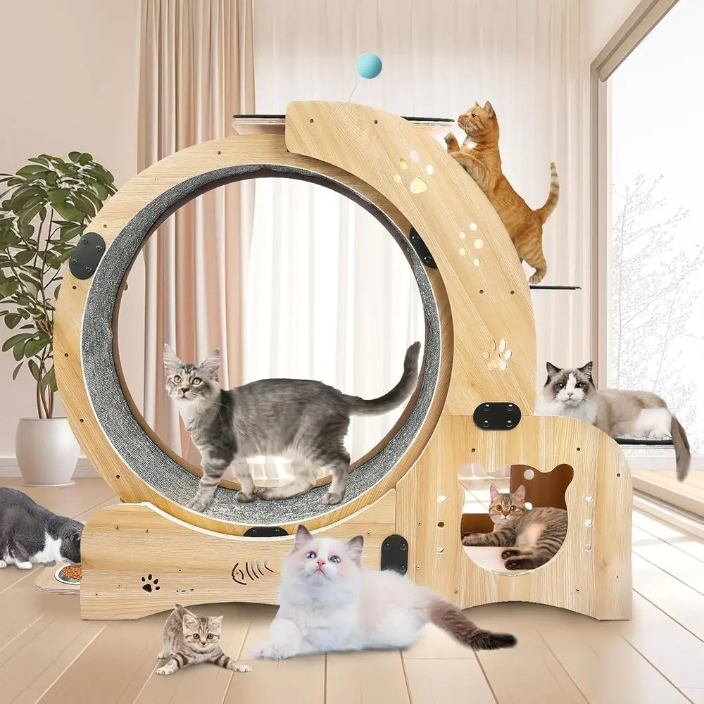 6-in-1 Cat Activity Center: 55 Exercise Wheel, Bed, Scratcher, Climbing, Toys