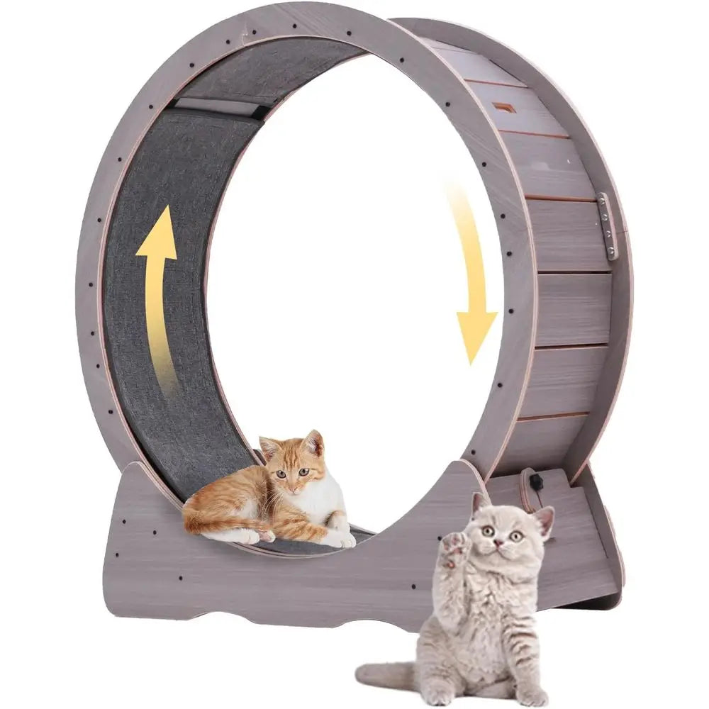 Indoor Quiet Exercise Wheel for Cats, 55 lbs Capacity, Safety Lock Included